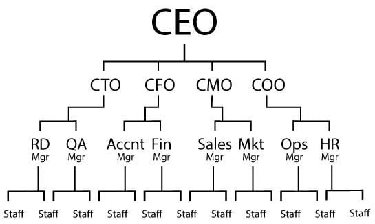 Organization-Chart