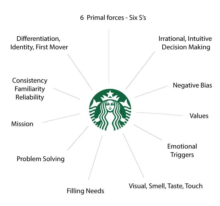 Big-picture-Connection-to-brand-v2