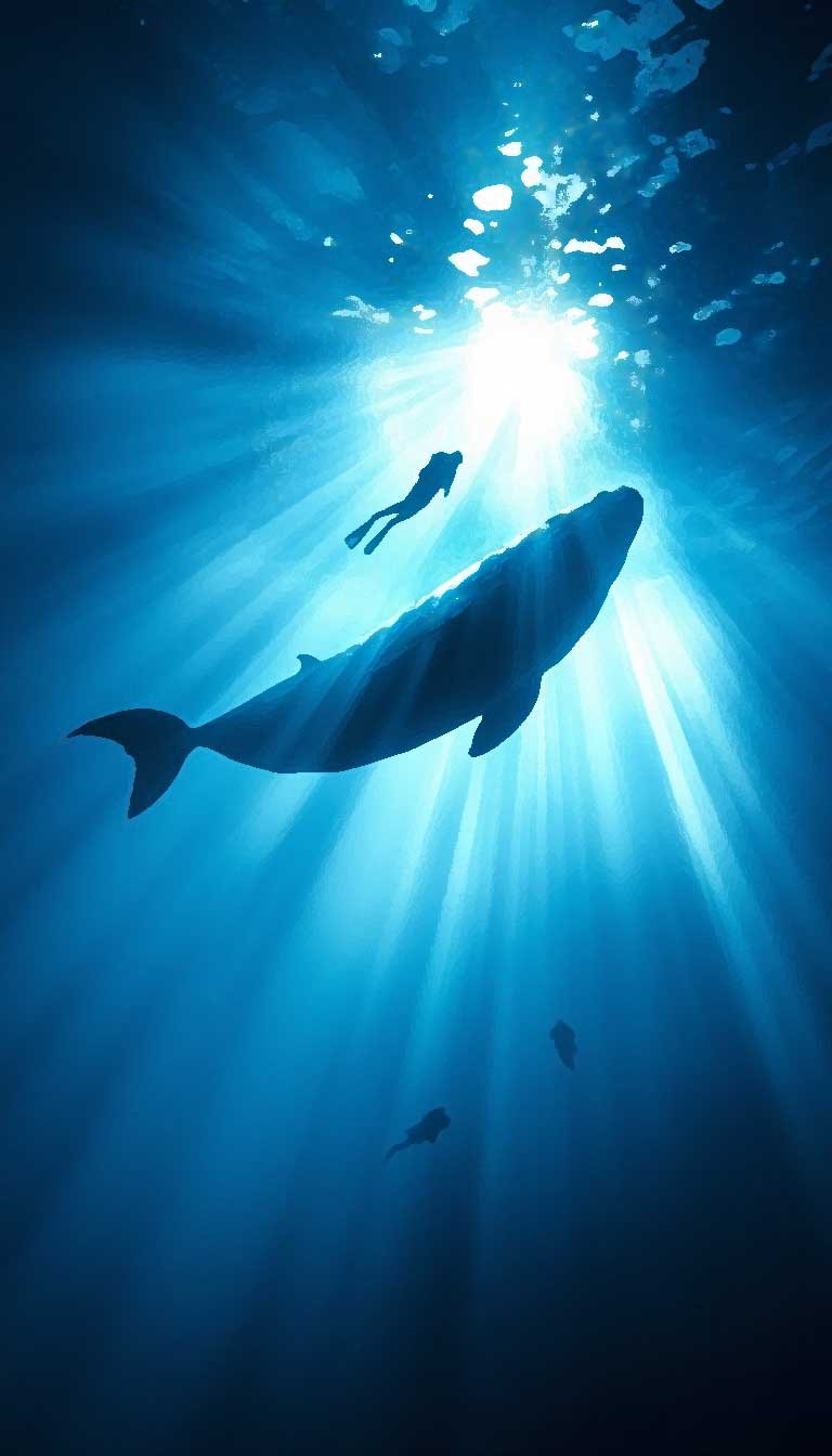 StockCake-Majestic-Ocean-Encounter_1751530264